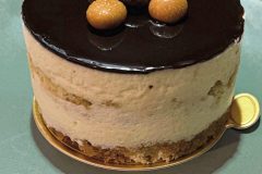 Tiramisu-scaled