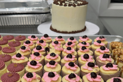 banner-2