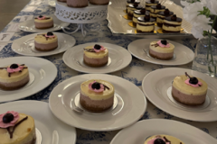 galler-1